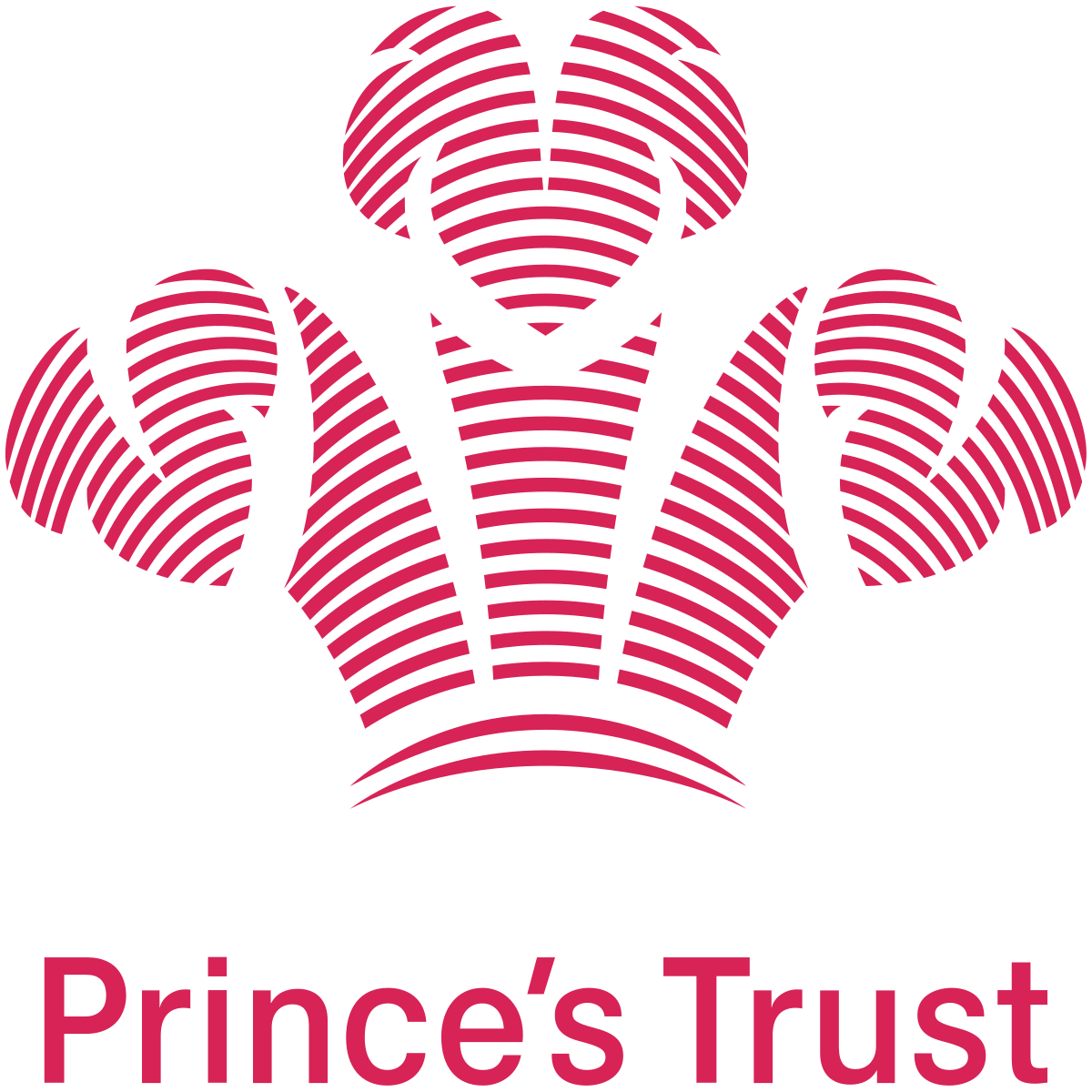 the princes trust business plan